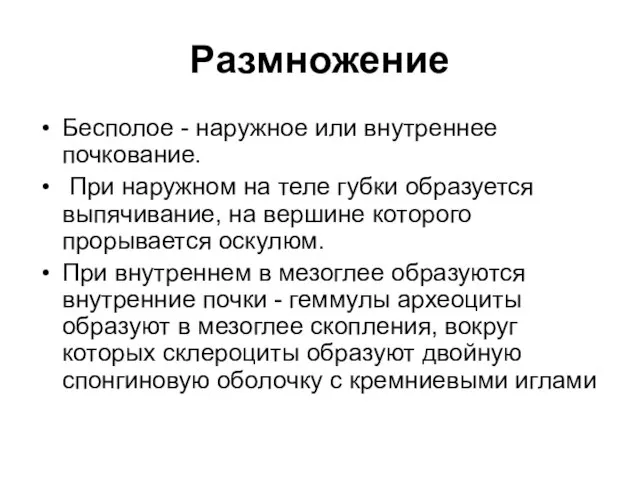 Размножение Бесполое - наружное или внутреннее почкование. При наружном на теле