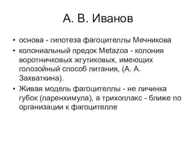 А. В. Иванов основа - гипотеза фагоцителлы Мечникова колониальный предок Metazoa