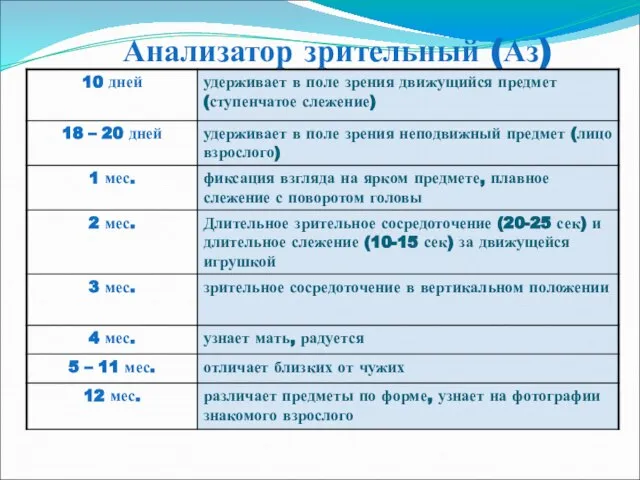 Анализатор зрительный (Аз)