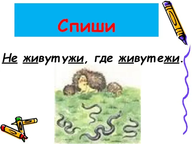 Спиши Не живут ужи, где живут ежи.