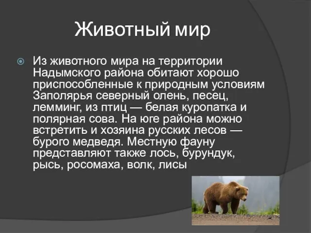Животный мир Из животного мира на территории Надымского района обитают хорошо