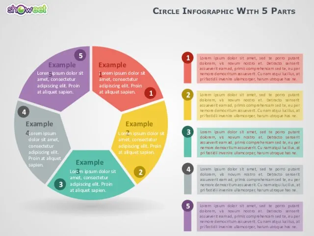 Circle Infographic With 5 Parts 1 2 3 4 5 Lorem