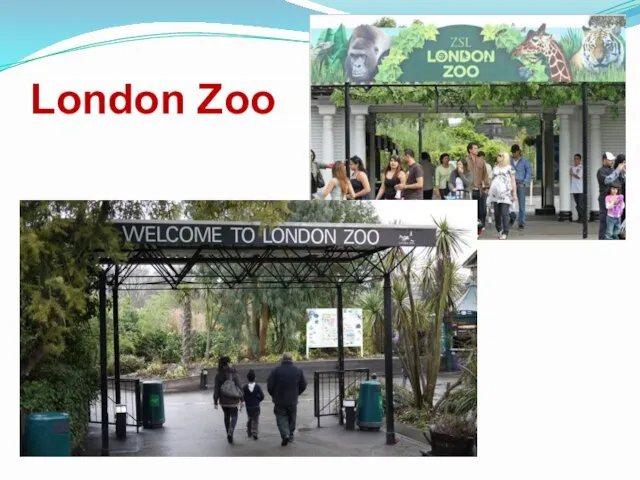 London Zoo