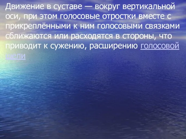 Движение в суставе — вокруг вертикальной оси, при этом голосовые отростки