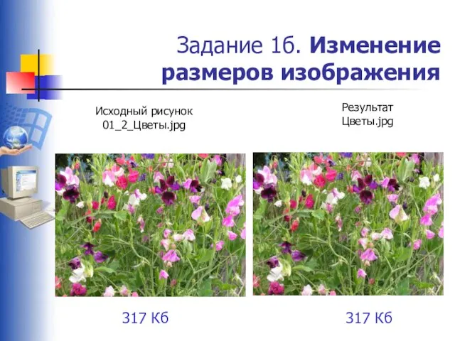 Задание 1б. Изменение размеров изображения Исходный рисунок 01_2_Цветы.jpg Результат Цветы.jpg 317 Кб 317 Кб