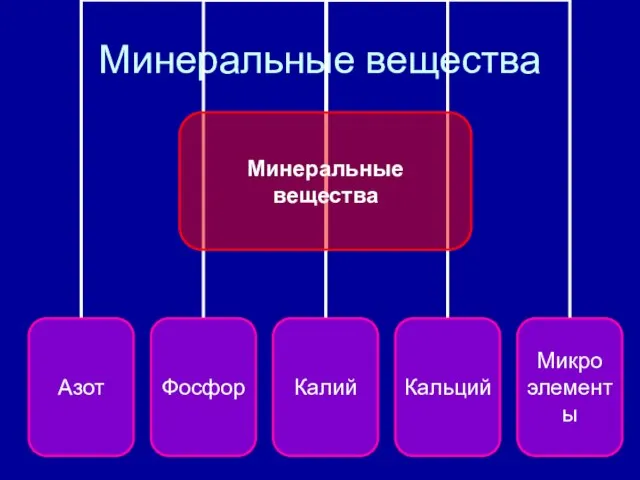 Минеральные вещества