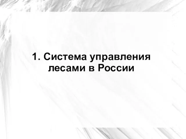 1. Система управления лесами в России