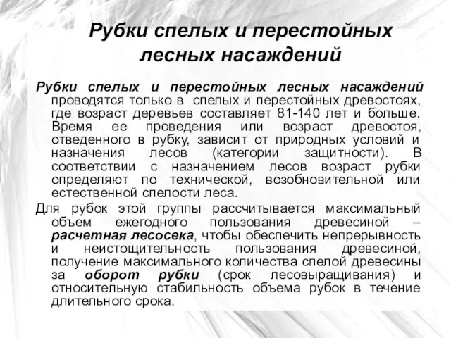 Рубки спелых и перестойных лесных насаждений Рубки спелых и перестойных лесных