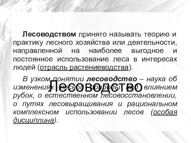 Лесоводство Лесоводством принято называть теорию и практику лесного хозяйства или деятельности,