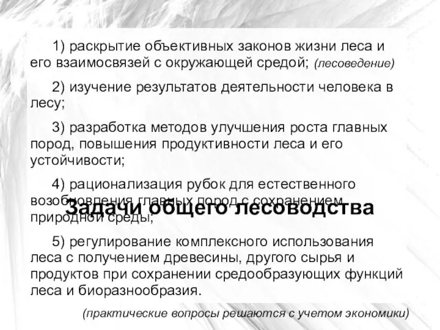 Задачи общего лесоводства 1) раскрытие объективных законов жизни леса и его