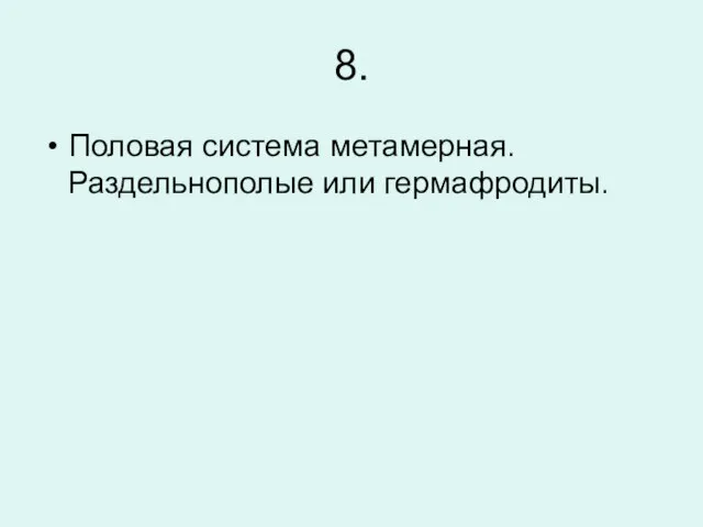 8. Половая система метамерная. Раздельнополые или гермафродиты.