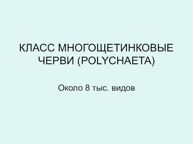 КЛАСС МНОГОЩЕТИНКОВЫЕ ЧЕРВИ (POLYCHAETA) Около 8 тыс. видов