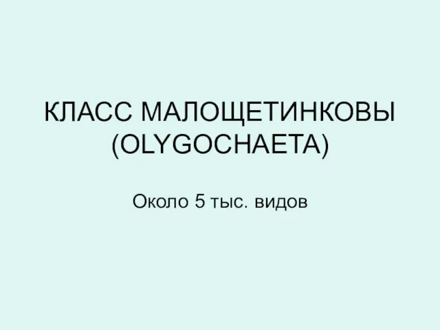 КЛАСС МАЛОЩЕТИНКОВЫ (OLYGOCHAETA) Около 5 тыс. видов