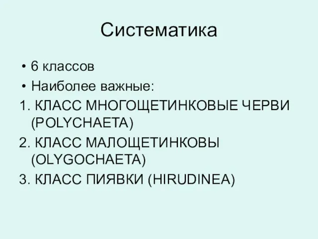 Систематика 6 классов Наиболее важные: 1. КЛАСС МНОГОЩЕТИНКОВЫЕ ЧЕРВИ (POLYCHAETA) 2.