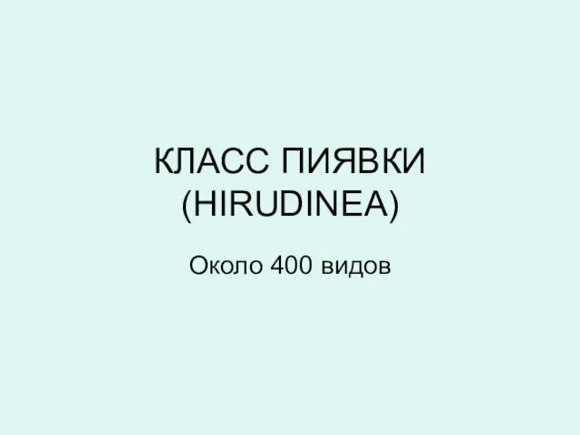 КЛАСС ПИЯВКИ (HIRUDINEA) Около 400 видов