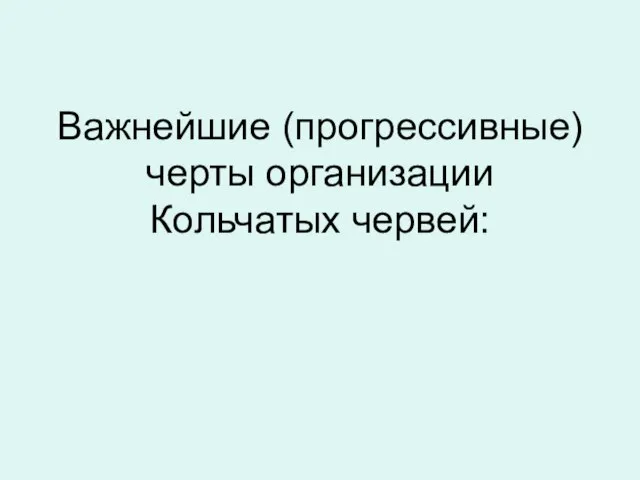 Важнейшие (прогрессивные) черты организации Кольчатых червей: