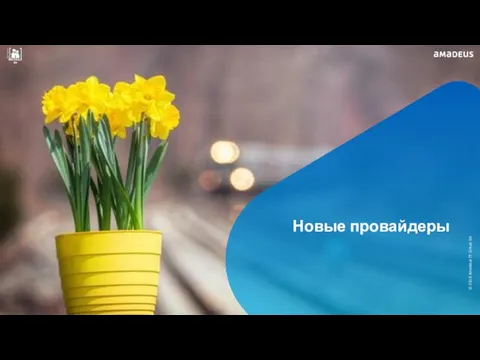 Новые провайдеры © 2016 Amadeus IT Group SA