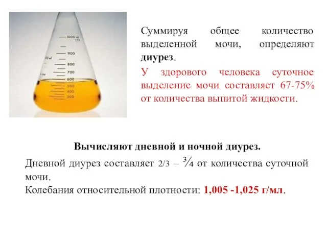 Суммируя общее количество выделенной мочи, определяют диурез. У здорового человека суточное