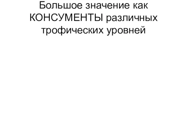 Большое значение как КОНСУМЕНТЫ различных трофических уровней