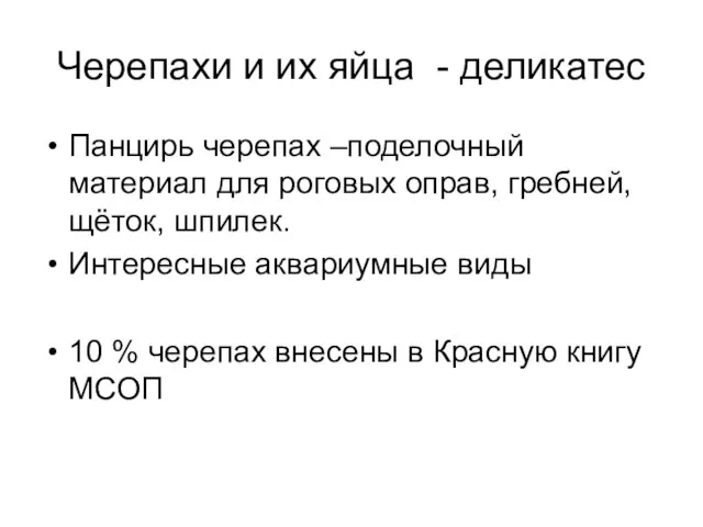 Черепахи и их яйца - деликатес Панцирь черепах –поделочный материал для