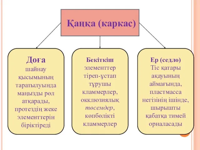 Қаңқа (каркас) Доға шайнау қысымының таратылуында маңызды рөл атқарады, протездің жеке