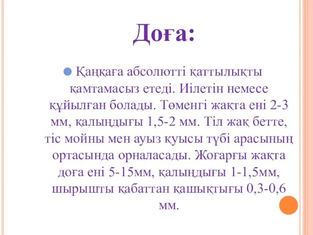 Доға: Қаңқаға абсолютті қаттылықты қамтамасыз етеді. Иілетін немесе құйылған болады. Төменгі