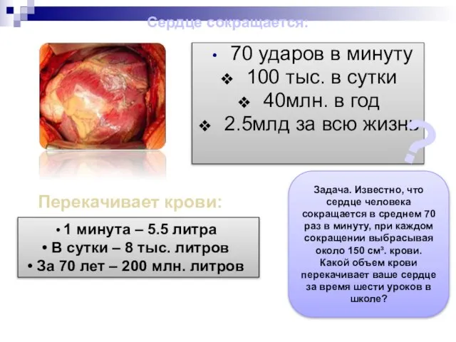 70 ударов в минуту 100 тыс. в сутки 40млн. в год