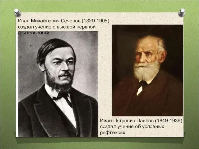 Иван Михайлович Сеченов (1829-1905) -создал учение о высшей нервной деятельности Иван