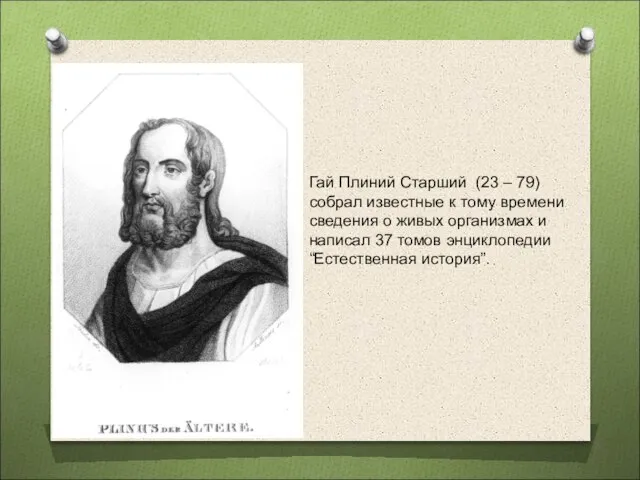 Гай Плиний Старший (23 – 79) собрал известные к тому времени