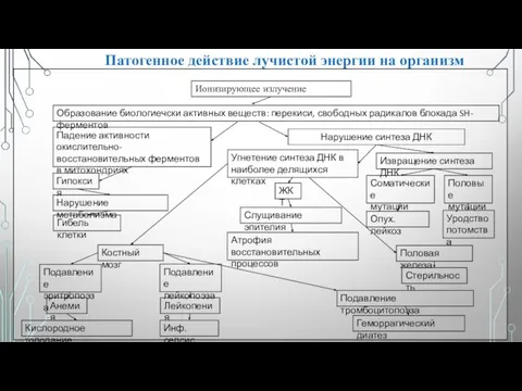 Патогенное действие лучистой энергии на организм Ионизирующее излучение Образование биологиечски активных