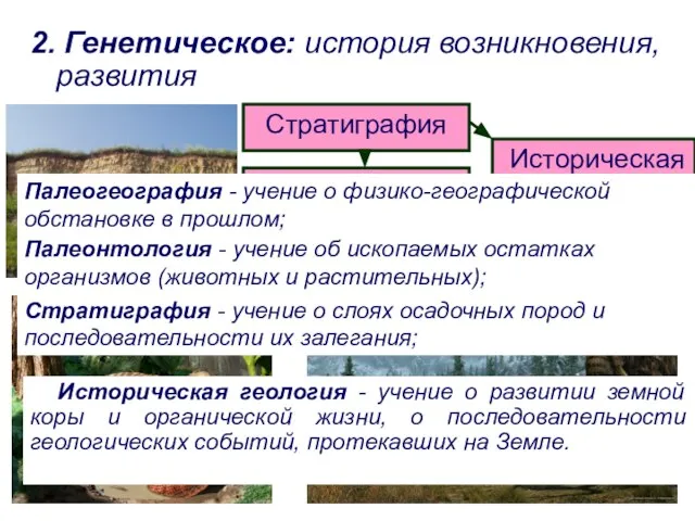 2. Генетическое: история возникновения, развития Палеонтология Палеогеография Историческая геология Стратиграфия Стратиграфия