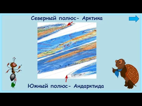 Северный полюс- Арктика Южный полюс- Андарктида