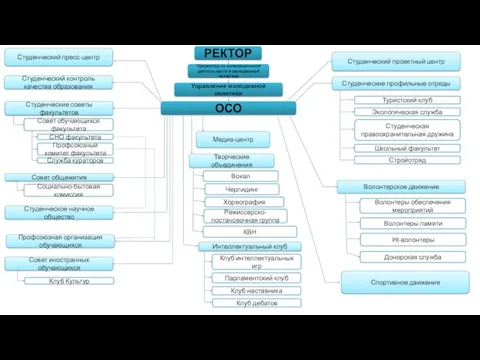 Проректор по инновационной деятельности и молодежной политике Управление молодежной политики ОСО