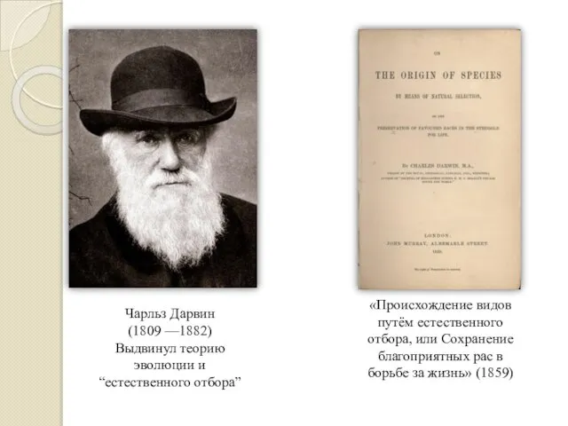 Чарльз Дарвин (1809 —1882) Выдвинул теорию эволюции и “естественного отбора” «Происхождение