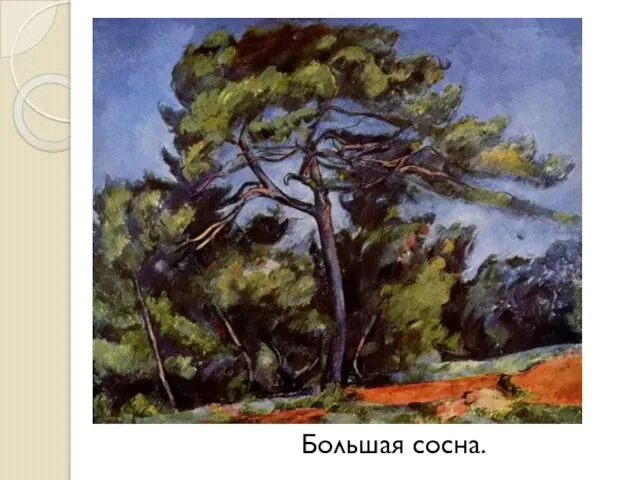 Большая сосна.