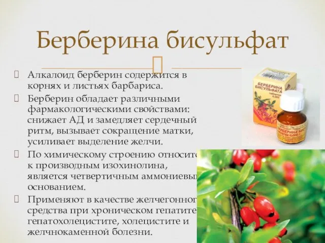 Алкалоид берберин содержится в корнях и листьях барбариса. Берберин обладает различными