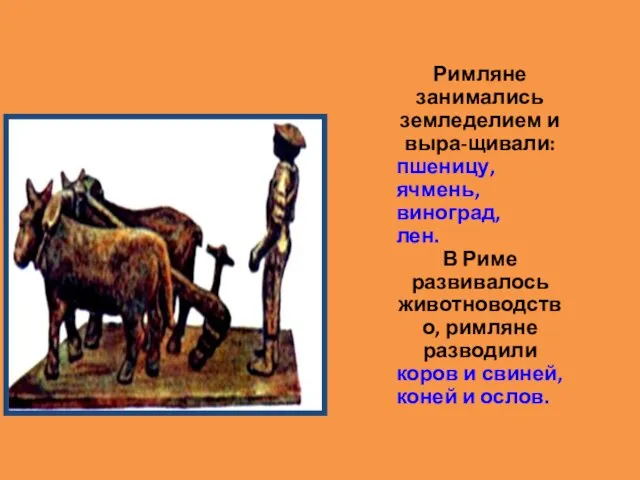 Римляне занимались земледелием и выра-щивали: пшеницу, ячмень, виноград, лен. В Риме