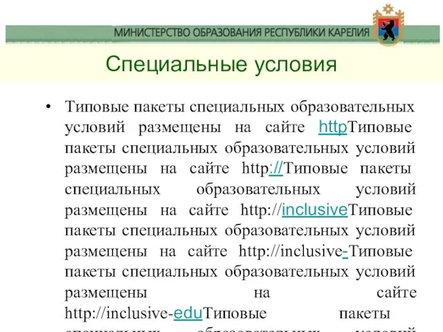 Специальные условия Типовые пакеты специальных образовательных условий размещены на сайте httpТиповые