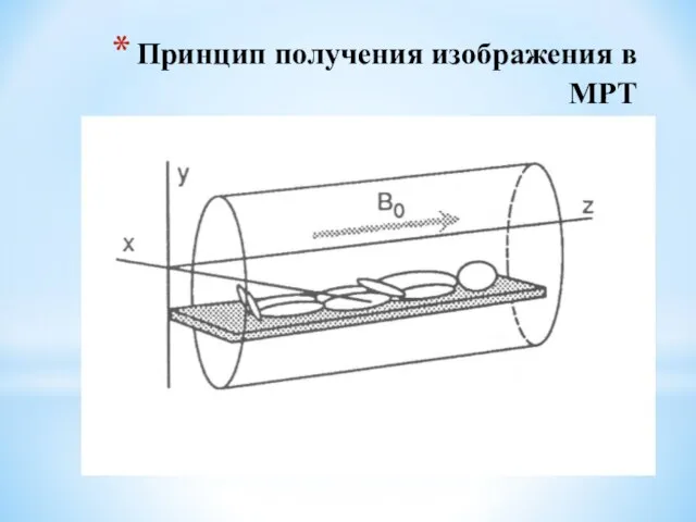 Принцип получения изображения в МРТ