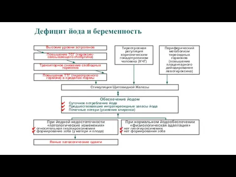 Дефицит йода и беременность Высокие уровни эстрогенов Тиреотропная регуляция хорионическим гонадотропином