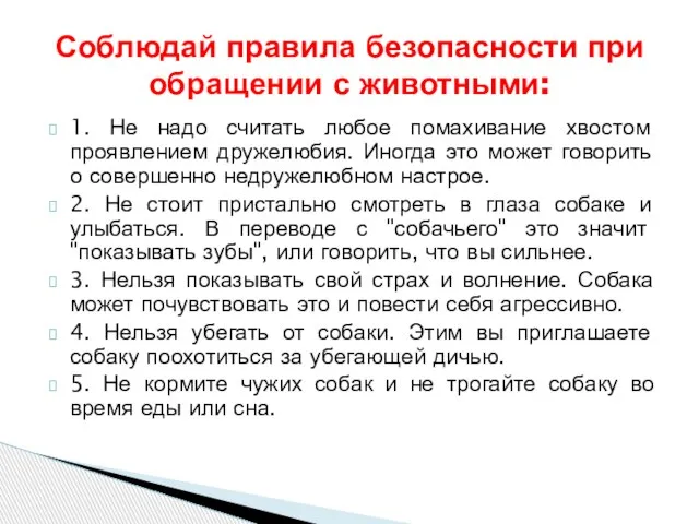 1. Не надо считать любое помахивание хвостом проявлением дружелюбия. Иногда это