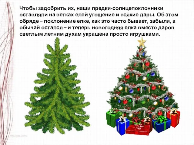 Чтобы задобрить их, наши предки-солнцепоклонники оставляли на ветках елей угощение и