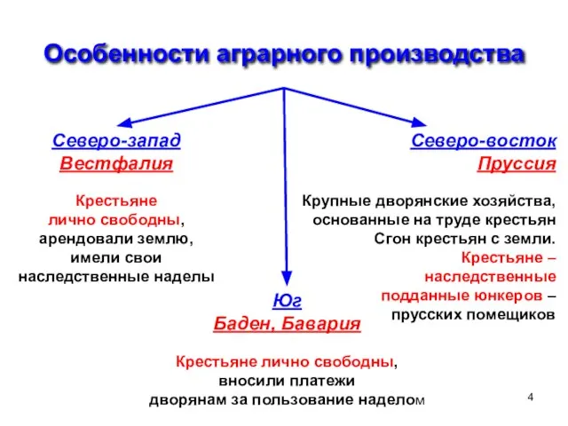 Особенности аграрного производства Северо-запад Вестфалия Крестьяне лично свободны, арендовали землю, имели