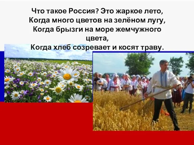 Что такое Россия? Это жаркое лето, Когда много цветов на зелёном