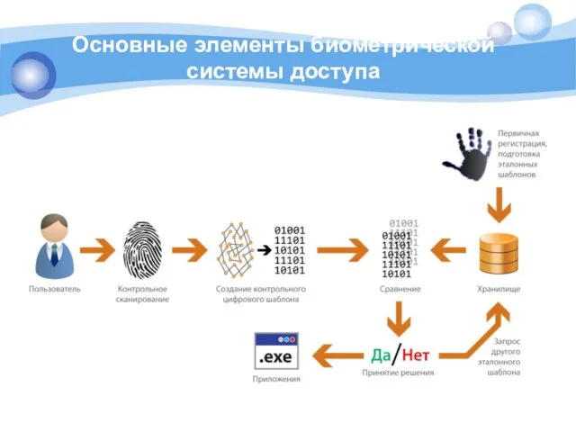 Основные элементы биометрической системы доступа