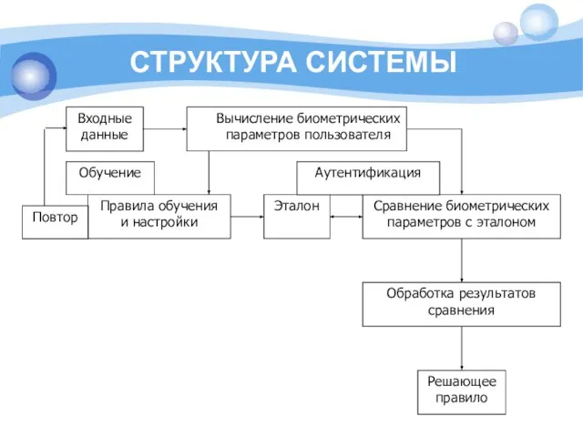 СТРУКТУРА СИСТЕМЫ