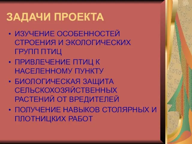 ЗАДАЧИ ПРОЕКТА ИЗУЧЕНИЕ ОСОБЕННОСТЕЙ СТРОЕНИЯ И ЭКОЛОГИЧЕСКИХ ГРУПП ПТИЦ ПРИВЛЕЧЕНИЕ ПТИЦ