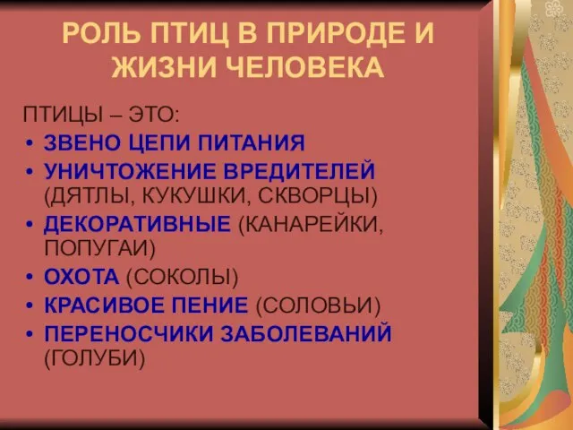 РОЛЬ ПТИЦ В ПРИРОДЕ И ЖИЗНИ ЧЕЛОВЕКА ПТИЦЫ – ЭТО: ЗВЕНО