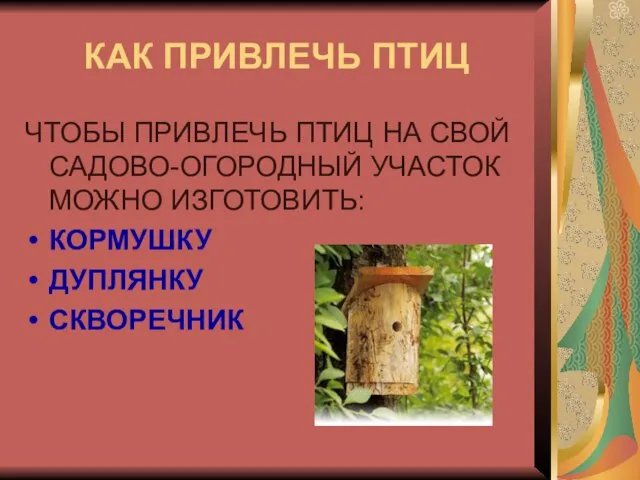 КАК ПРИВЛЕЧЬ ПТИЦ ЧТОБЫ ПРИВЛЕЧЬ ПТИЦ НА СВОЙ САДОВО-ОГОРОДНЫЙ УЧАСТОК МОЖНО ИЗГОТОВИТЬ: КОРМУШКУ ДУПЛЯНКУ СКВОРЕЧНИК