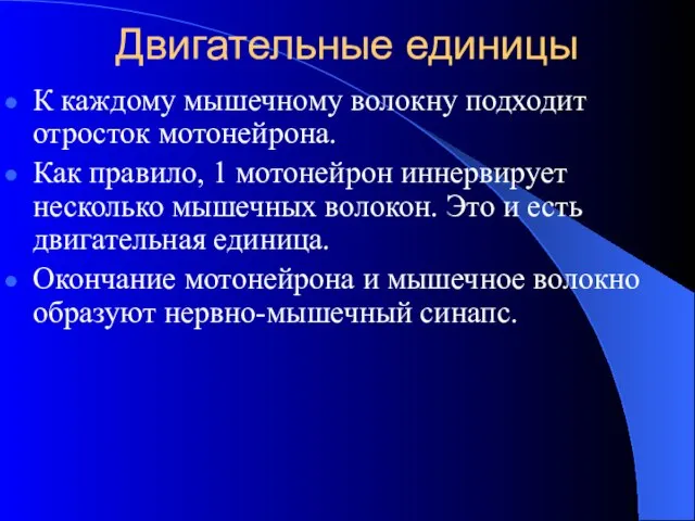 Двигательные единицы К каждому мышечному волокну подходит отросток мотонейрона. Как правило,